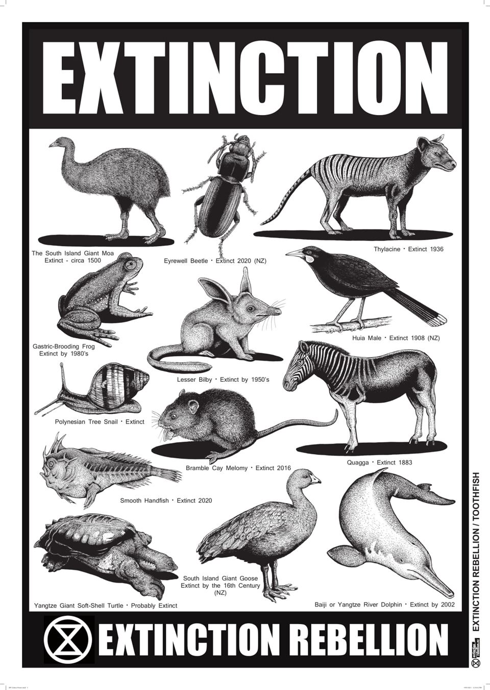 Extinct Animals Poster #1 *83058 *15726
